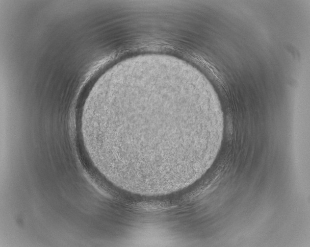X0000114440630200911271639