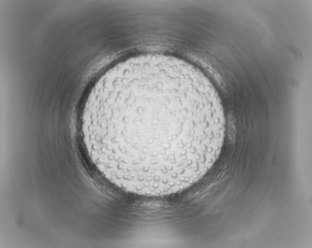 X0000114440631200911271639
