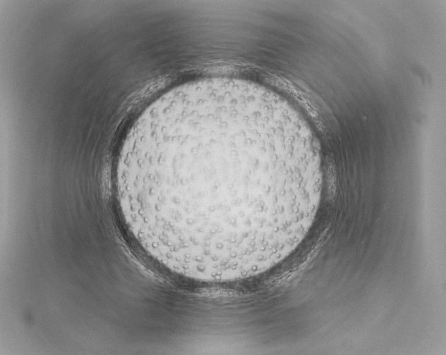 X0000114440633200911271639