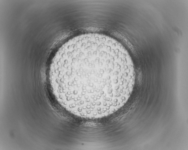 X0000114440635200911271639