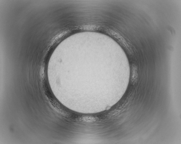 X0000114440636200911271639