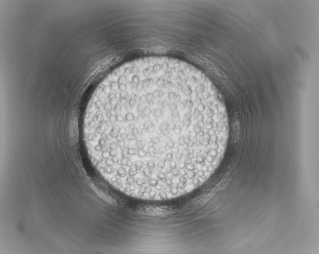 X0000114440638200911271639