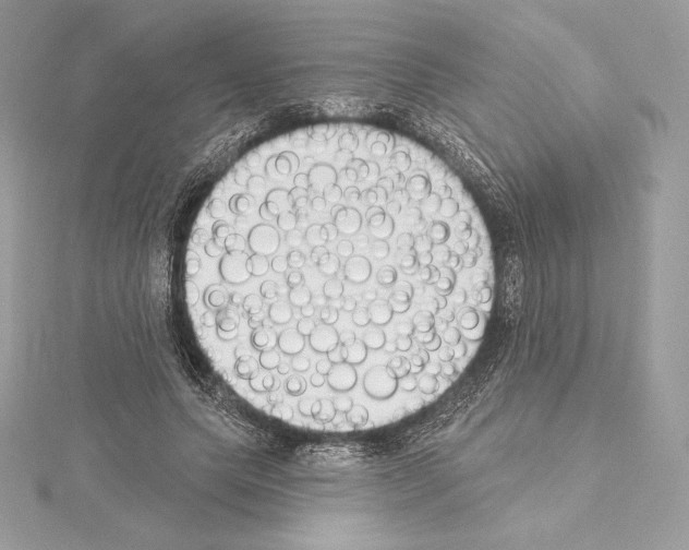 X0000114440639200911271639