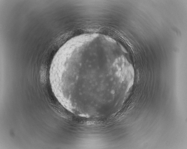 X0000114440641200911271639