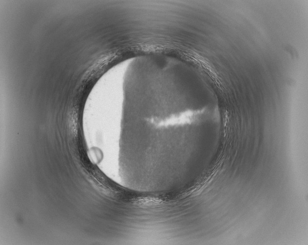 X0000114440644200911271639