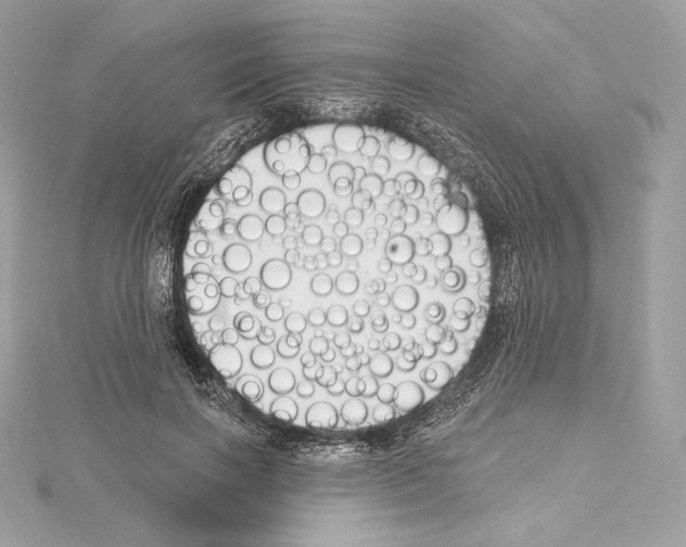 X0000114440646200911271639