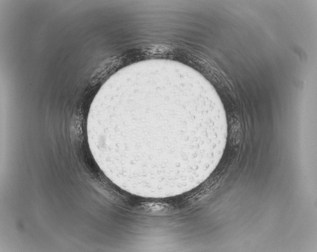 X0000114440654200911271639