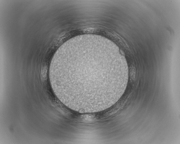 X0000114440660200911271639