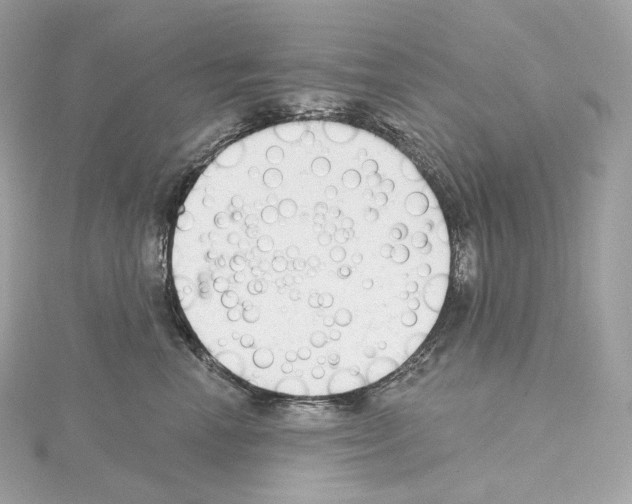 X0000114440666200911271639