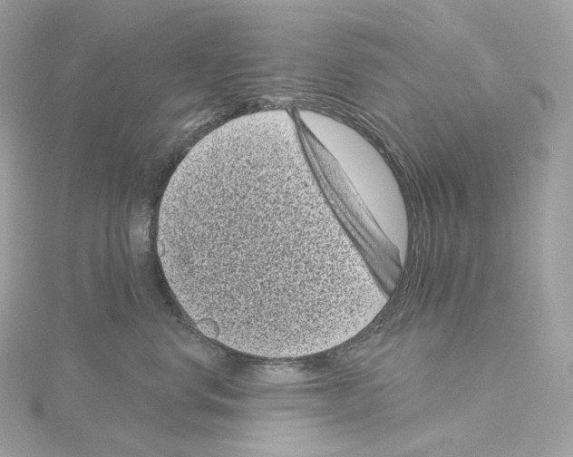 X0000114440668200911271639