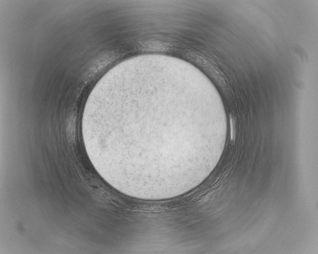 X0000114440675200911271639