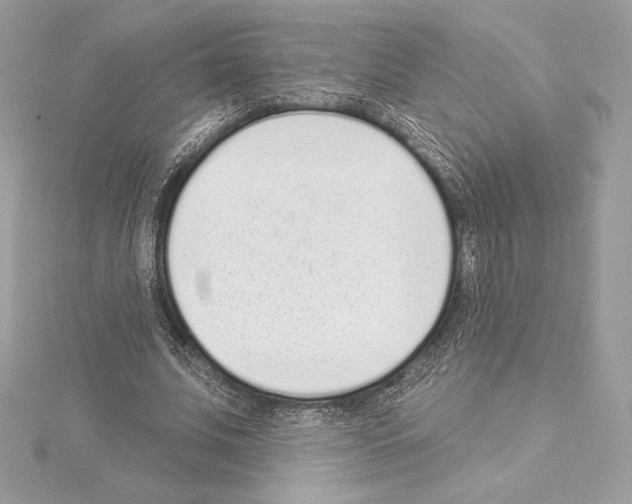 X0000114440679200911271639