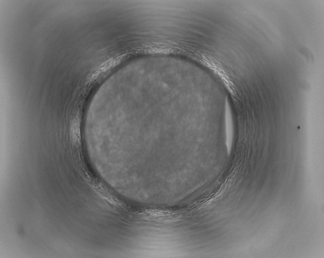 X0000114440681200911271639