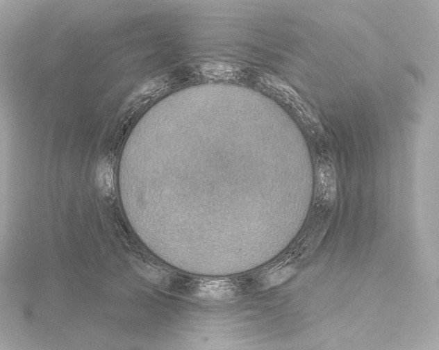 X0000114440705200911271638