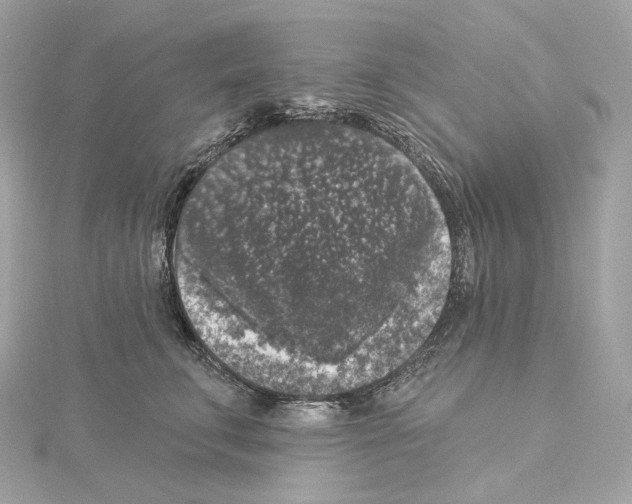 X0000114440711200911271638