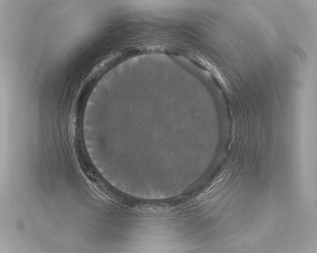 X0000114440722200911271638