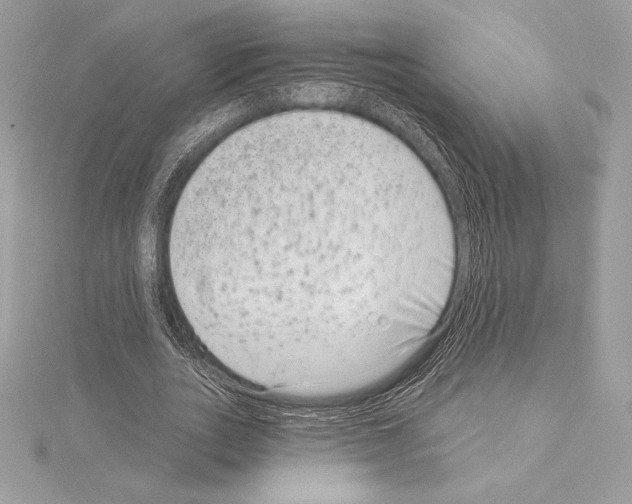 X0000114440727200911271638