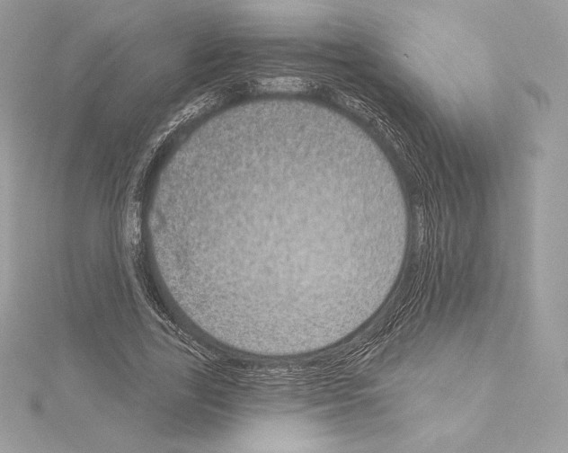 X0000114440731200911271638
