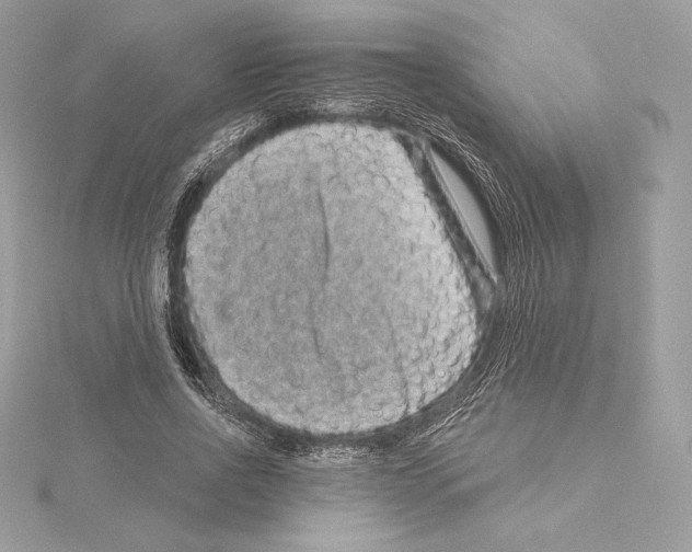 X0000114440734200911271638