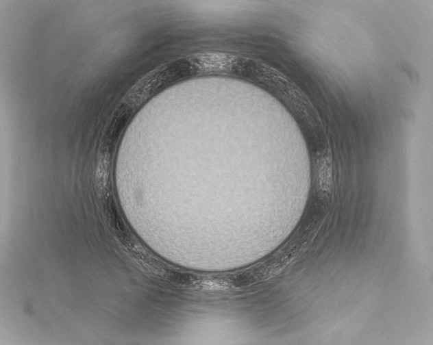 X0000114440737200911271638
