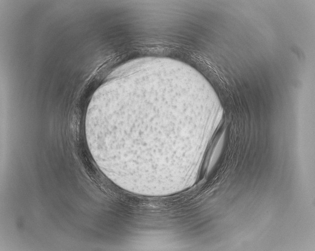 X0000114440739200911271638