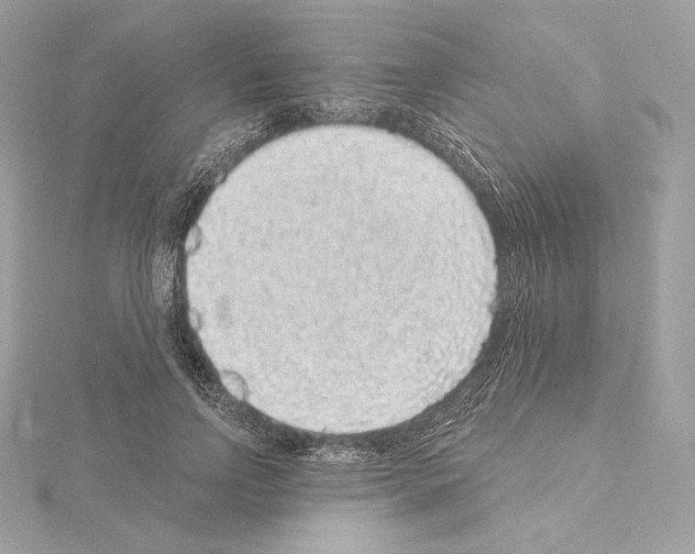 X0000114440742200911271638