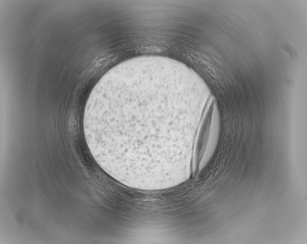 X0000114440743200911271638
