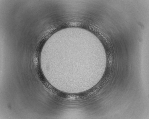 X0000114440746200911271638