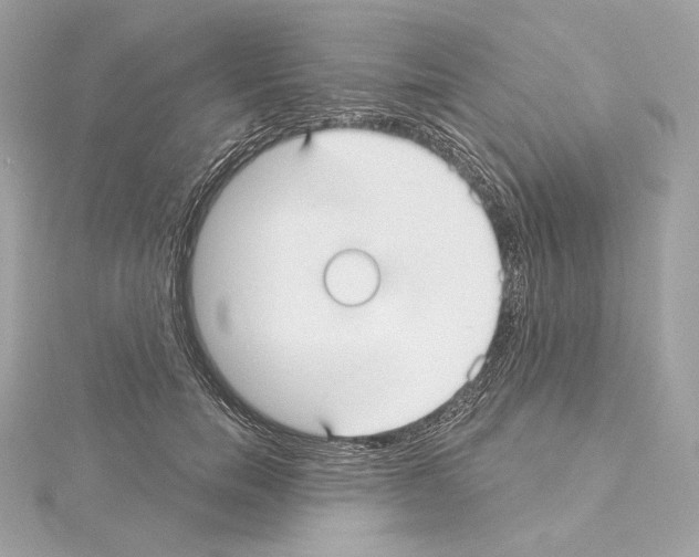 X0000114440750200911271638