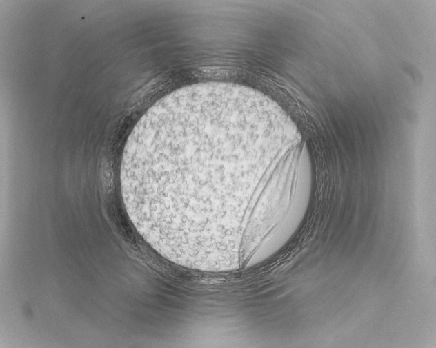 X0000114440751200911271638