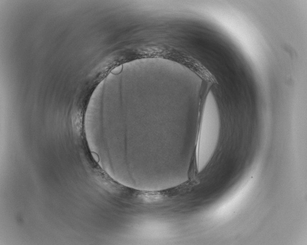 X0000114440767200911271638