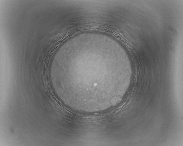 X0000114440769200911271638