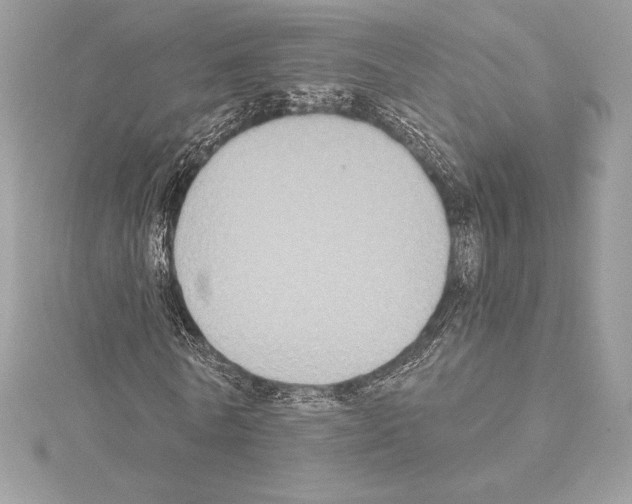 X0000114440770200911271638