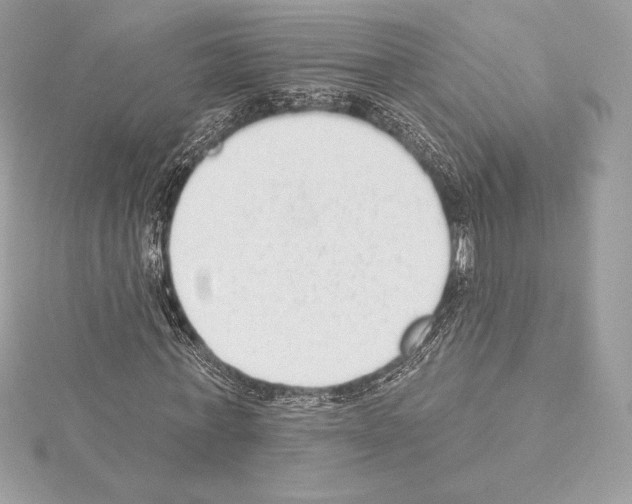 X0000114440771200911271637