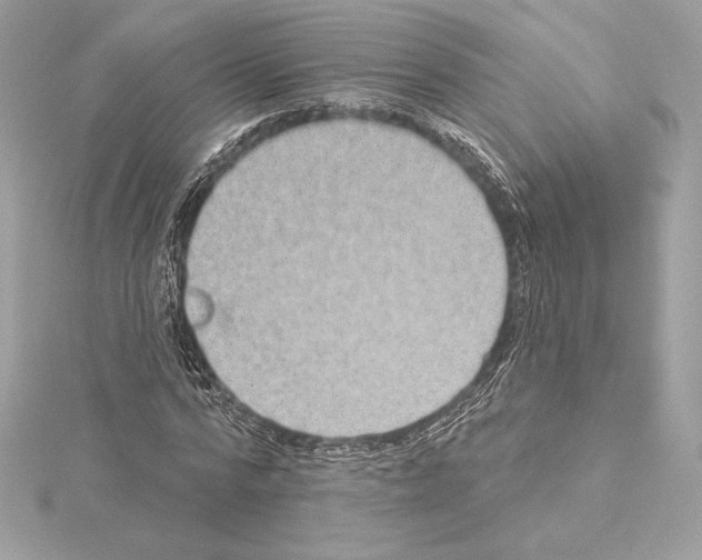 X0000114440776200911271637