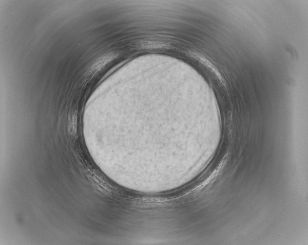 X0000114440777200911271637