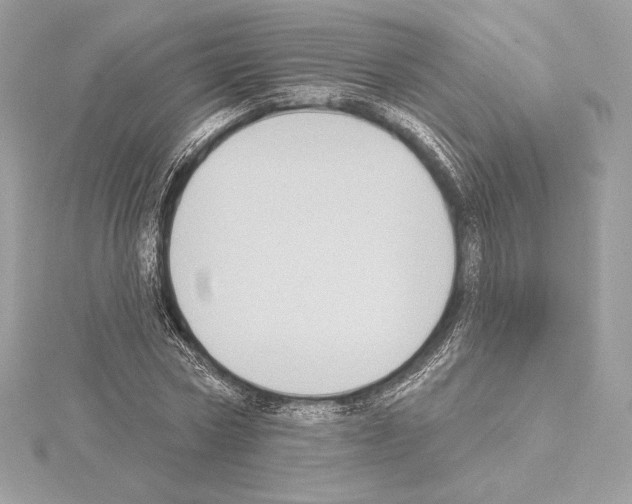 X0000114440778200911271637