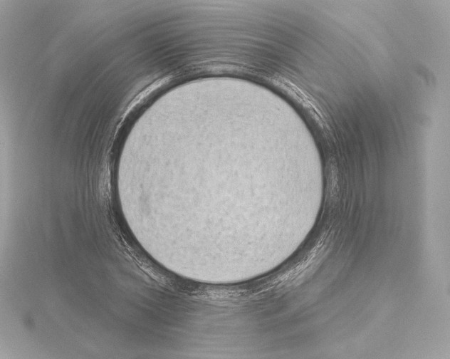 X0000114440782200911271637