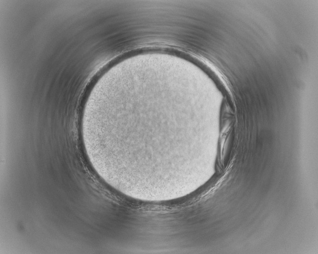 X0000114440783200911271637