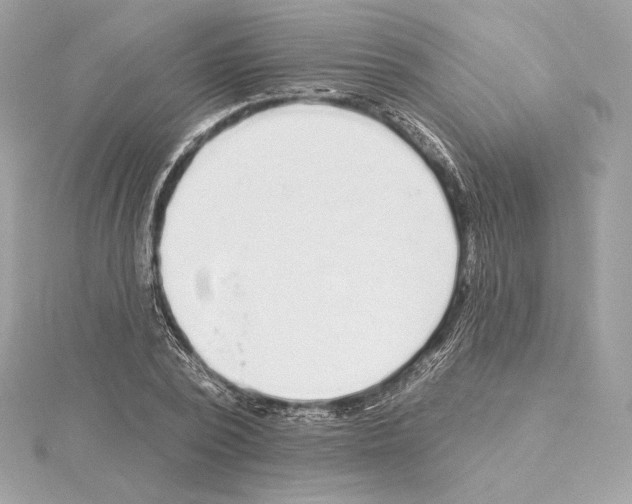 X0000114440784200911271637