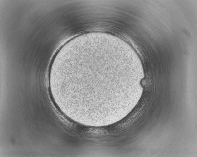 X0000114440795200911271637