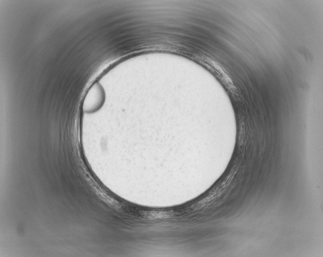 X0000114440796200911271637