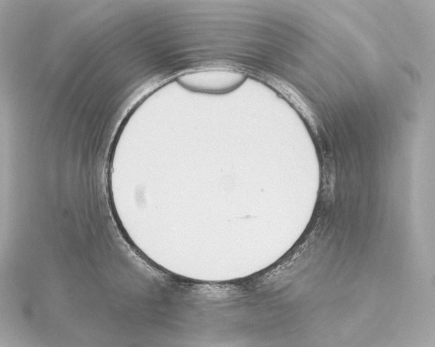 X0000114440805200911271637