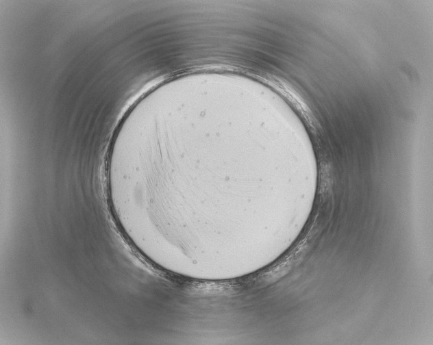 X0000114440806200911271637