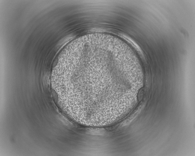 X0000114440809200911271637
