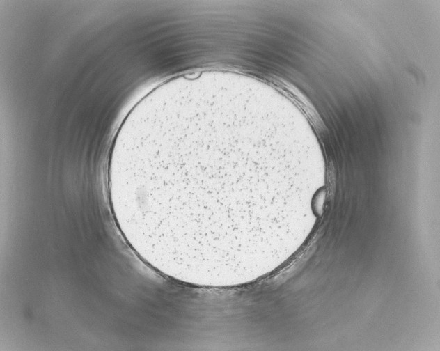 X0000114440812200911271637