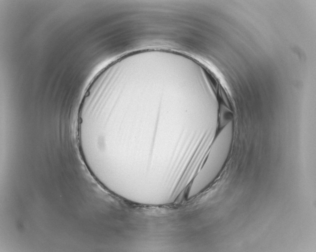 X0000114440815200911271637