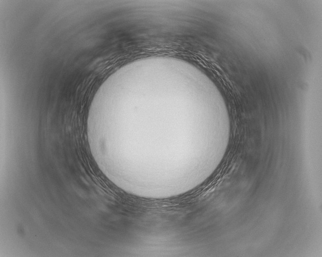 X0000114440820200911271636