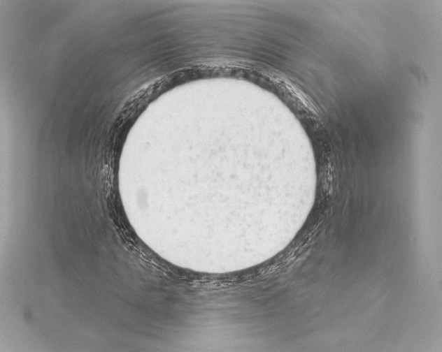 X0000114440821200911271636