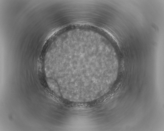 X0000114440823200911271636